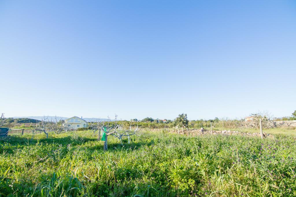 Akivillas Silves Relax 外观 照片